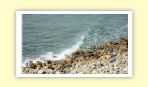 sete1 (13).jpg